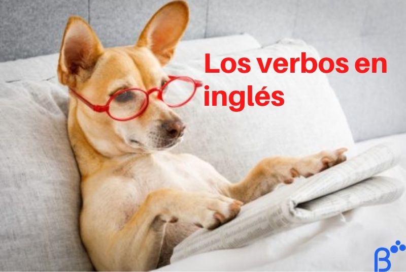 ¿Cómo funcionan los verbos en inglés?