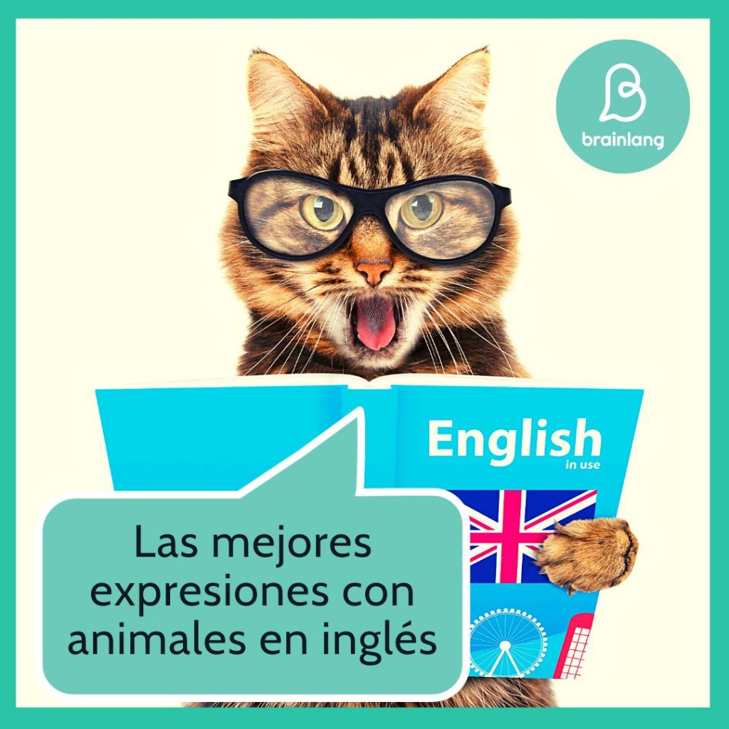 Animales en inglés: